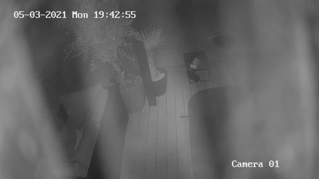 Screenshot from 46.33.120.146:554