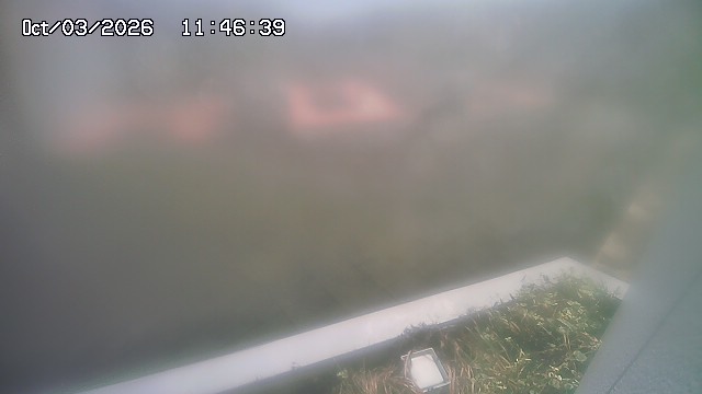 Screenshot from 115.179.188.169:9020