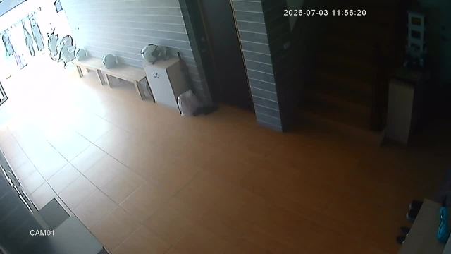 Screenshot from 114.35.154.205:554