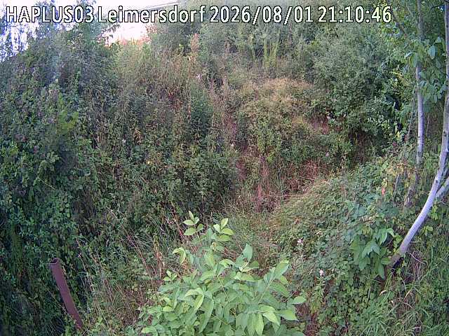 Screenshot from 37.81.87.70:82