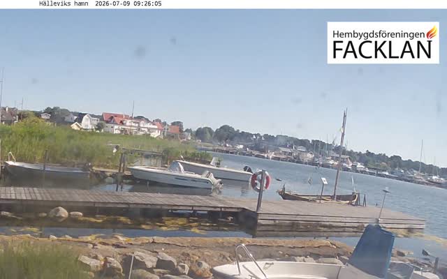 Snapshot from museumhallevik2.ddns.net:9501