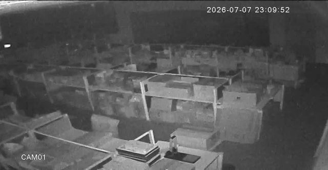 Screenshot from 125.227.156.117:554