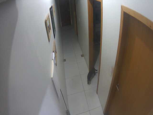 Screenshot from 204.157.100.10:1025