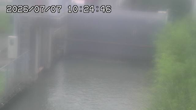 Screenshot from 118.243.177.229:5006