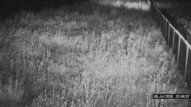 Screenshot from 109.99.209.194:8112