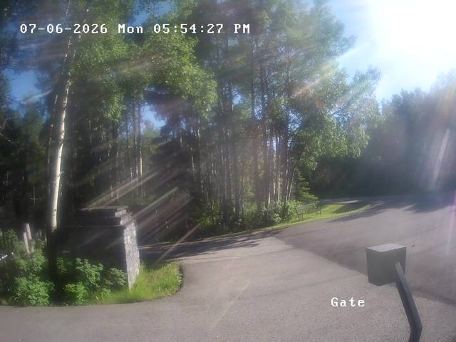 Screenshot from 24.66.145.191:554