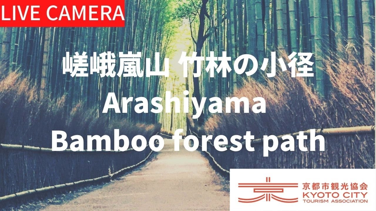 Thumbnail for Saga-arashiyama Bamboo Forest (Japan)