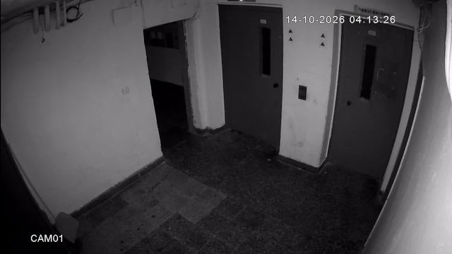 Screenshot from 93.123.54.18:554