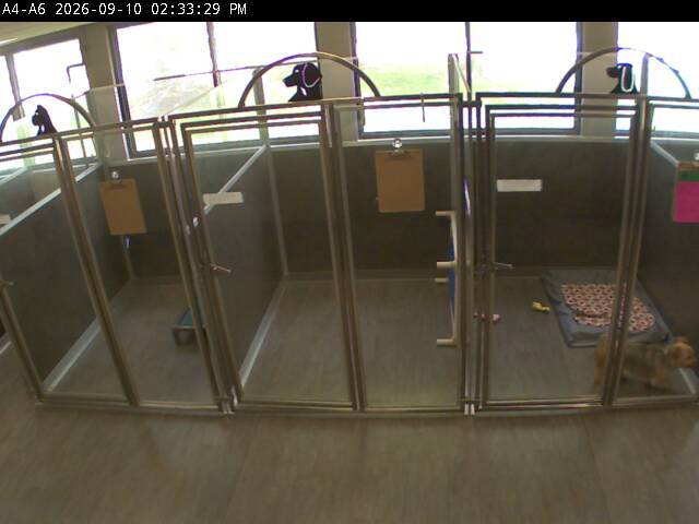 Screenshot from 75.151.26.26:2002