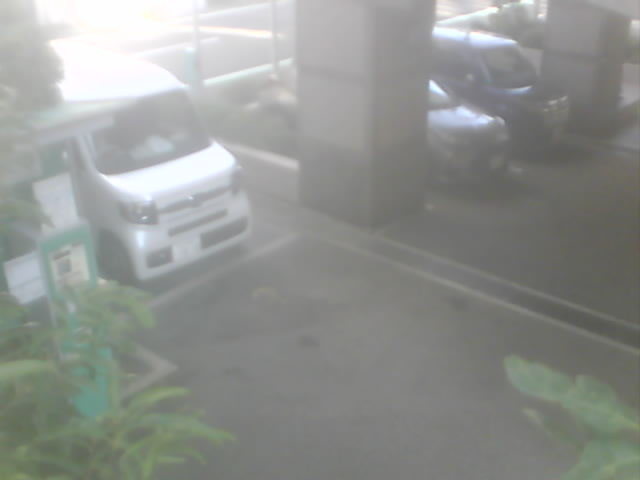 Screenshot from 119.242.104.202:81
