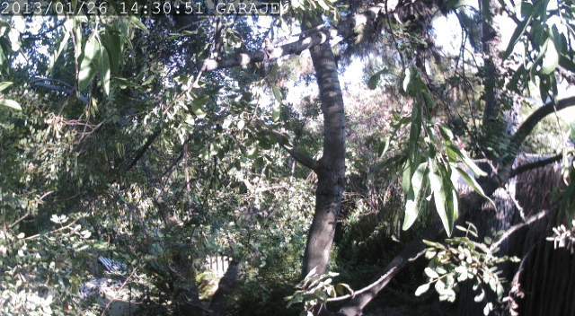 Screenshot from 79.151.62.18:60001