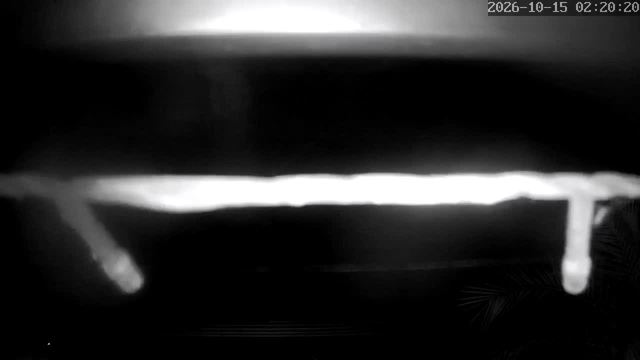 Screenshot from 91.2.87.2:554