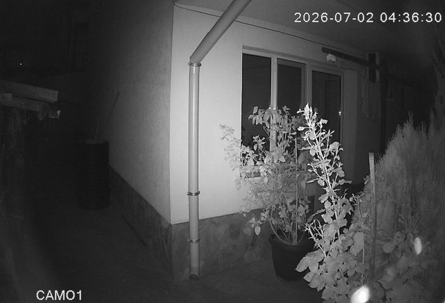 Screenshot from 151.251.160.69:8047