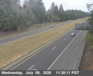 Snapshot from US-101 : South Of US-199 - Looking North (C014)