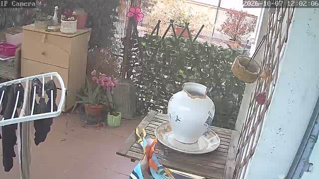 Screenshot from 95.246.66.28:554