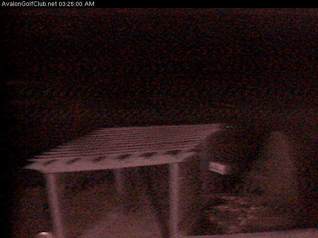 Snapshot from 74.95.172.65:8100