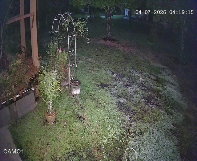 Screenshot from 118.173.72.72:82