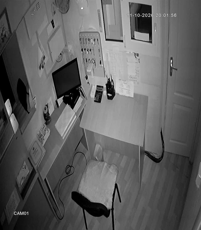 Screenshot from 195.189.197.131:554