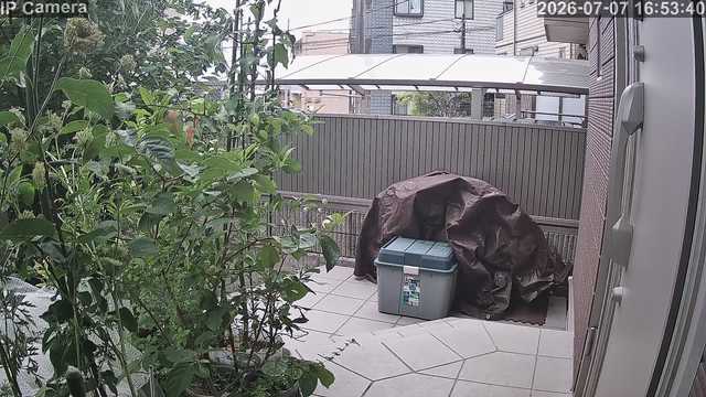 Screenshot from 106.137.30.168:554