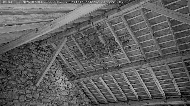 Screenshot from 188.231.18.17:1026