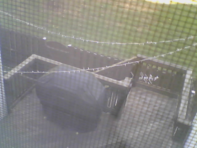 Screenshot from 98.169.93.72:10003