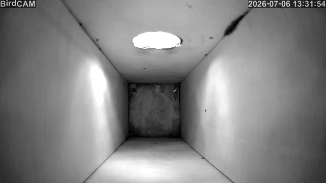 Screenshot from 141.224.241.35:554