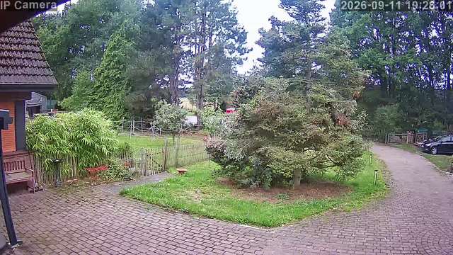 Screenshot from 185.89.38.93:554
