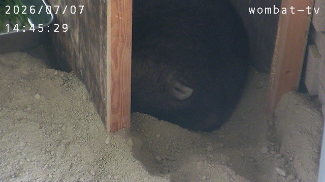 Screenshot from 122.145.231.223:8083