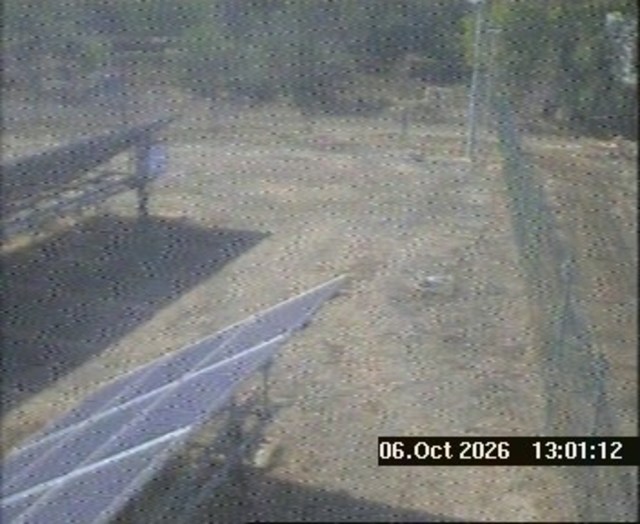 Screenshot from 185.87.69.220:8004