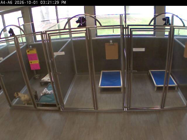 Screenshot from 75.151.26.26:2002