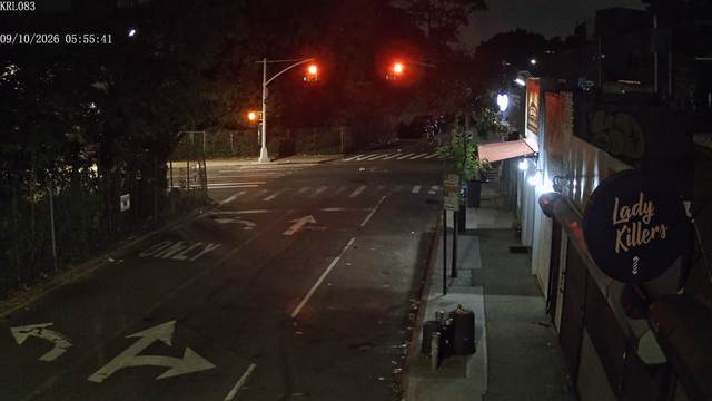 Screenshot from 162.172.155.17:554