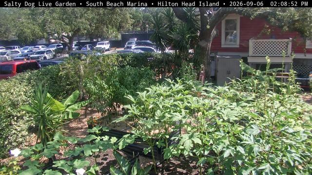 Screenshot from 174.99.244.42:8050