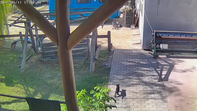 Screenshot from 85.90.167.116:554