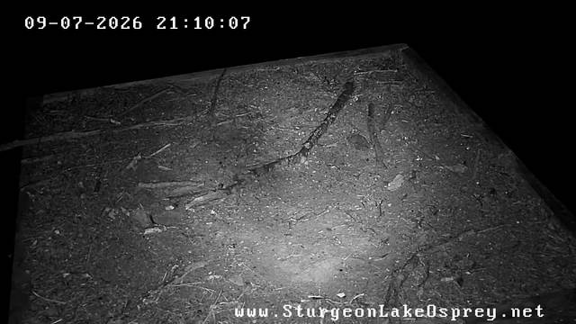 Screenshot from 173.26.5.23:554