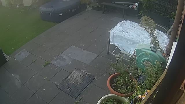 Screenshot from 77.101.213.101:554