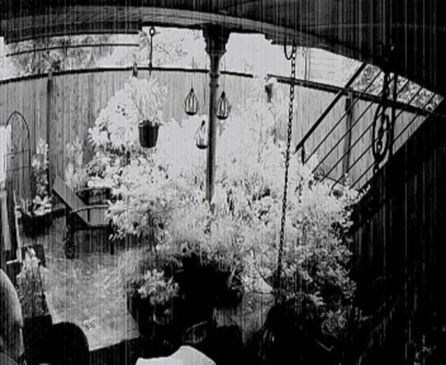 Screenshot from 92.116.200.50:80