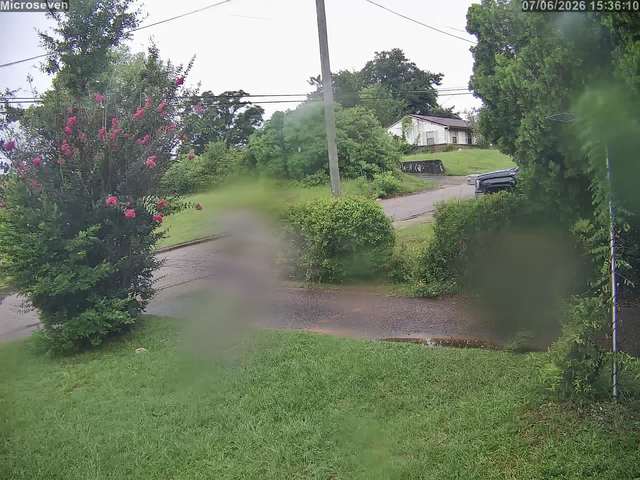 Screenshot from 155.254.15.76:8554