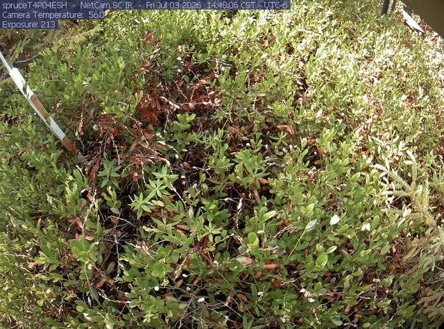 Screenshot from 205.149.147.141:80