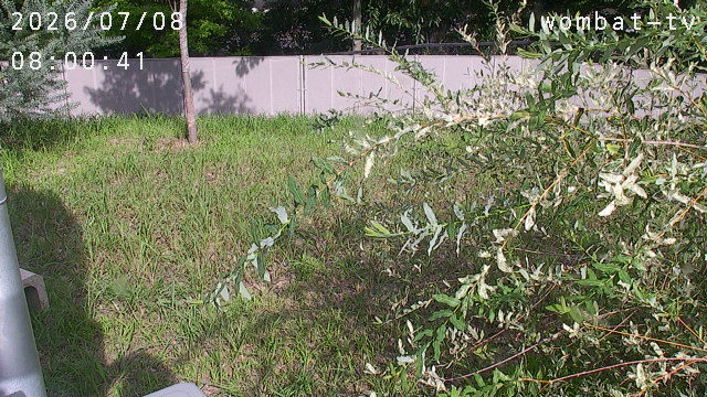 Screenshot from 122.145.231.223:8080